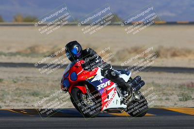 media/Feb-04-2023-SoCal Trackdays (Sat) [[8a776bf2c3]]/Turn 4 (Tree of Life 2pm)/